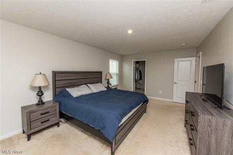 519 Riley Ct, Lagrange, OH 44050 photo 24