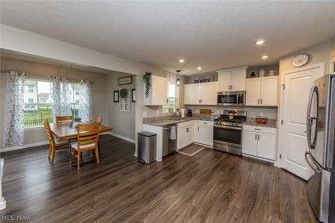 519 Riley Ct, Lagrange, OH 44050 photo 8