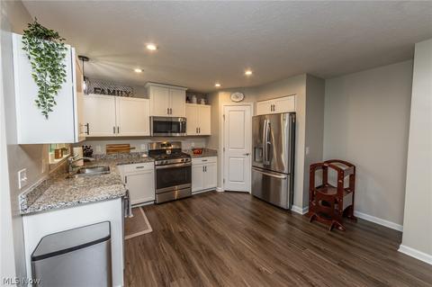519 Riley Ct, Lagrange, OH 44050 photo 9