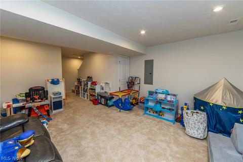 519 Riley Ct, Lagrange, OH 44050 photo 29
