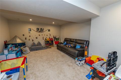 519 Riley Ct, Lagrange, OH 44050 photo 28
