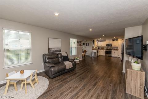 519 Riley Ct, Lagrange, OH 44050 photo 4
