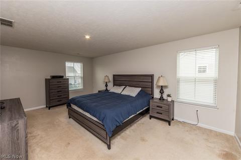 519 Riley Ct, Lagrange, OH 44050 photo 22