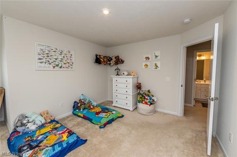 519 Riley Ct, Lagrange, OH 44050 photo 18