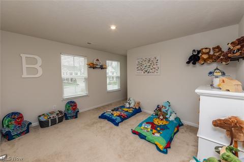 519 Riley Ct, Lagrange, OH 44050 photo 17