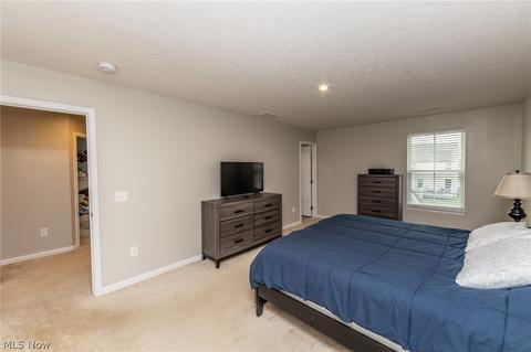 519 Riley Ct, Lagrange, OH 44050 photo 23
