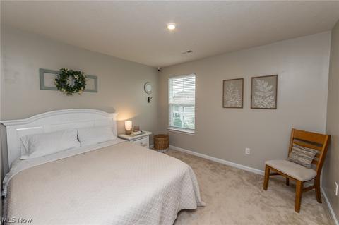 519 Riley Ct, Lagrange, OH 44050 photo 16
