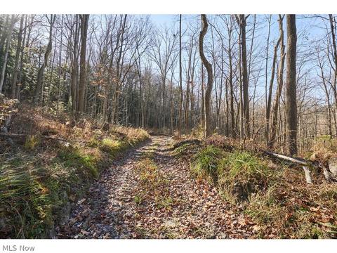 7028 Cascade Rd, Concord, OH 44077 photo 29