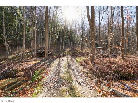 7028 Cascade Rd, Concord, OH 44077 photo 30