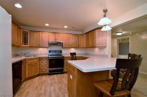 32700 Shadowbrook Dr, Solon, OH 44139 photo 20