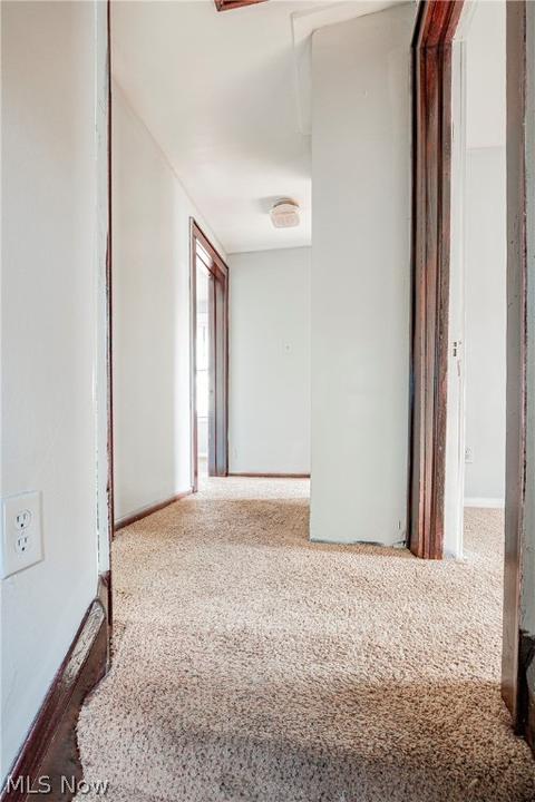 1100 Murray Ave, Akron, OH 44310 photo 12