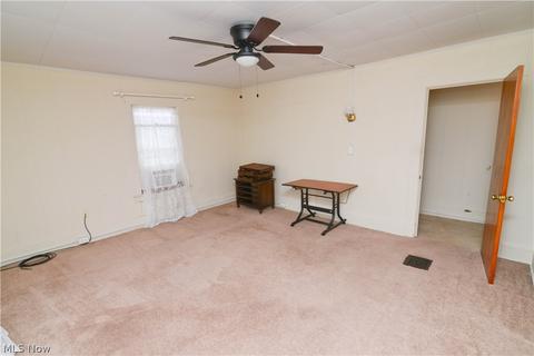 65 Park Ave, Struthers, OH 44471 photo 22