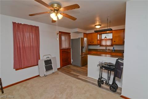 65 Park Ave, Struthers, OH 44471 photo 10