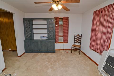 65 Park Ave, Struthers, OH 44471 photo 8