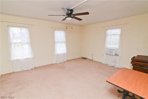 65 Park Ave, Struthers, OH 44471 photo 21