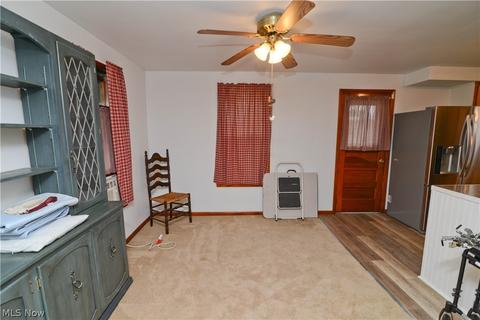 65 Park Ave, Struthers, OH 44471 photo 7