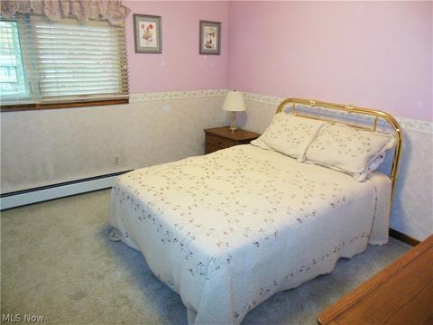 4215 Caylor Ct, Ashtabula, OH 44004 photo 12