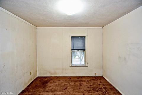 167 E Mapledale Ave, Akron, OH 44301 photo 19
