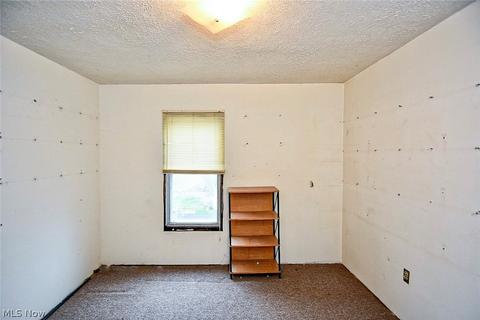 167 E Mapledale Ave, Akron, OH 44301 photo 15