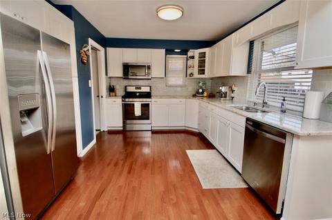 30875 Roosevelt Rd, Wickliffe, OH 44092 photo 2