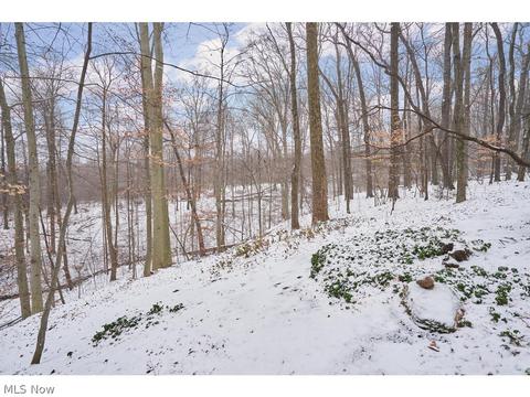 675 Hatch Rd, Wadsworth, OH 44281 photo 26