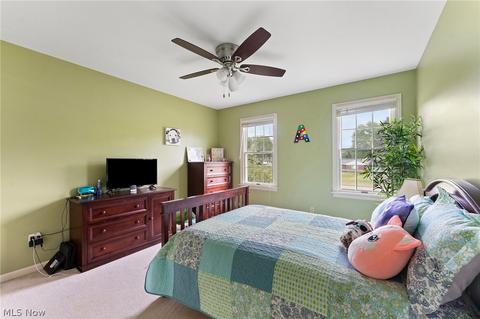 5764 Herbert Rd, Canfield, OH 44406 photo 24