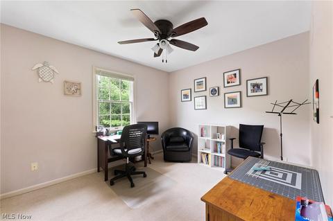 5764 Herbert Rd, Canfield, OH 44406 photo 25
