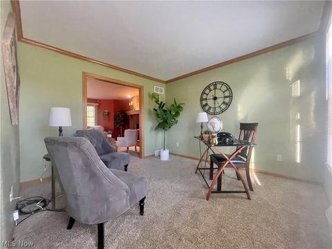 5764 Herbert Rd, Canfield, OH 44406 photo 16