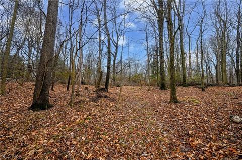 5501 State Rd, Wadsworth, OH 44281 photo 5