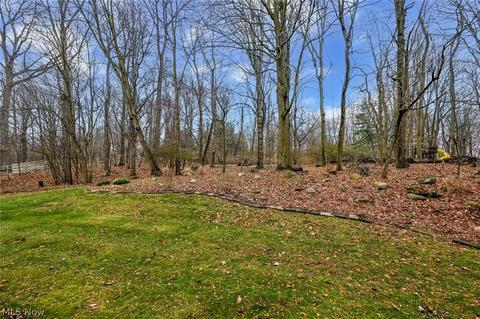 5501 State Rd, Wadsworth, OH 44281 photo 9