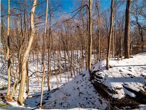 8106 Eagle Rd, Willoughby, OH 44094 photo 34