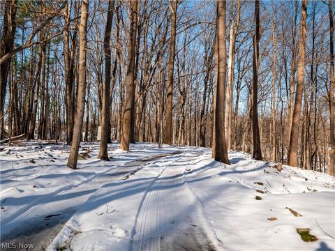 8106 Eagle Rd, Willoughby, OH 44094 photo 35