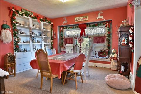 28 Washington Ave, Struthers, OH 44471 photo 23