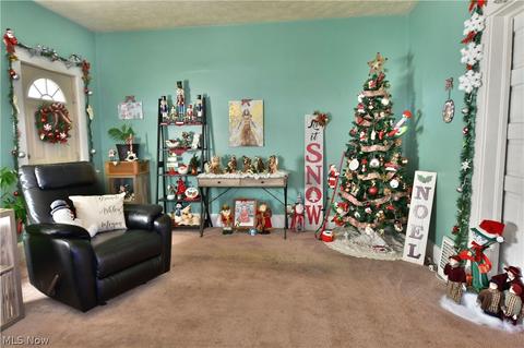 28 Washington Ave, Struthers, OH 44471 photo 25
