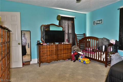 28 Washington Ave, Struthers, OH 44471 photo 11