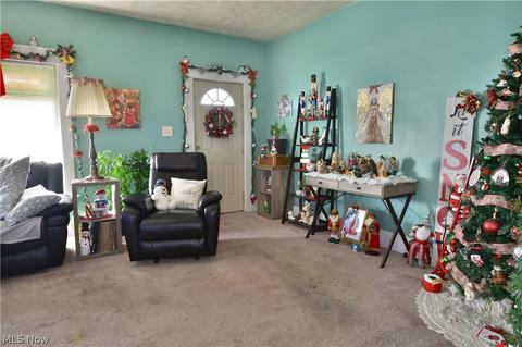 28 Washington Ave, Struthers, OH 44471 photo 27
