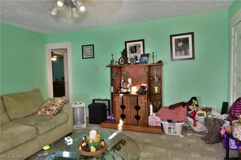 28 Washington Ave, Struthers, OH 44471 photo 14