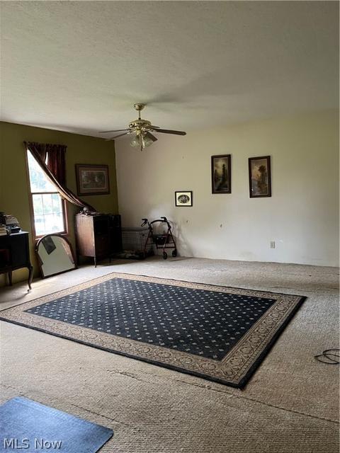 8799 Euga Rd, Newcomerstown, OH 43832 photo 17
