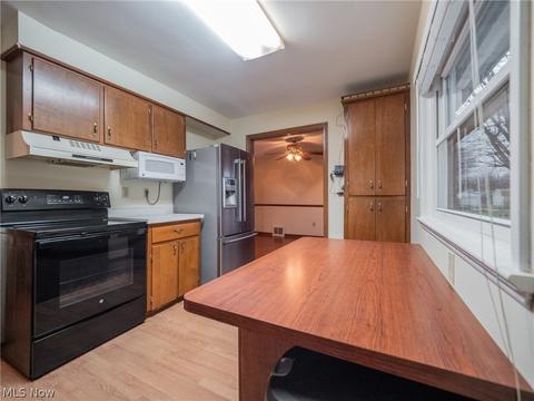 543 Eastern Heights Blvd, Elyria, OH 44035 photo 9