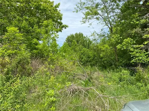 5323 N River State Rd 307 Rd, Geneva, OH 44041