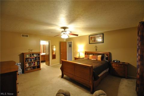 513 William St, Lagrange, OH 44050 photo 24