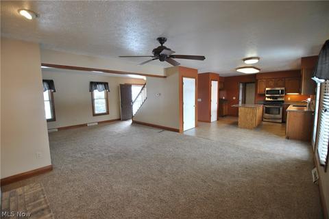 513 William St, Lagrange, OH 44050 photo 11