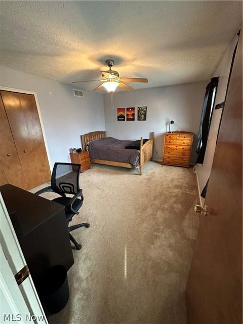 513 William St, Lagrange, OH 44050 photo 28