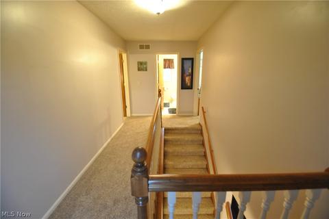 513 William St, Lagrange, OH 44050 photo 29