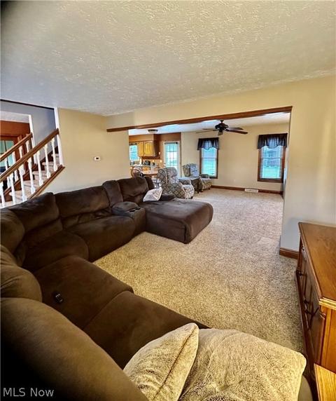 513 William St, Lagrange, OH 44050 photo 12