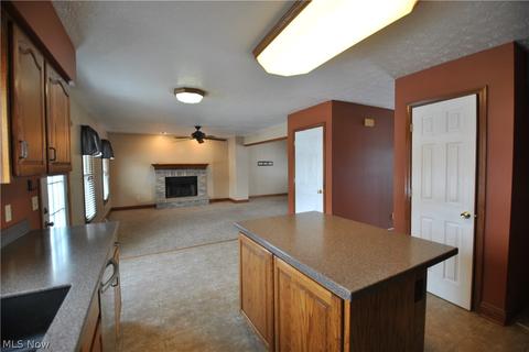 513 William St, Lagrange, OH 44050 photo 8