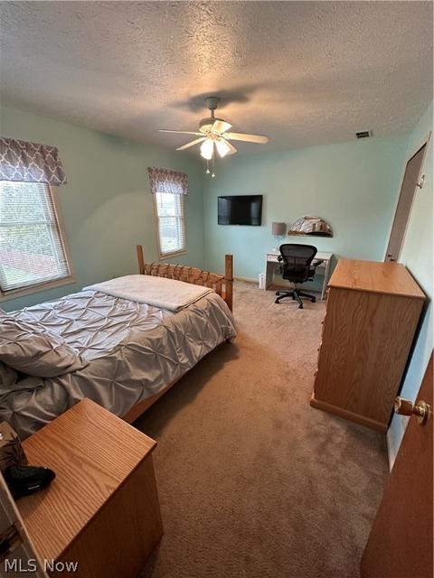 513 William St, Lagrange, OH 44050 photo 26