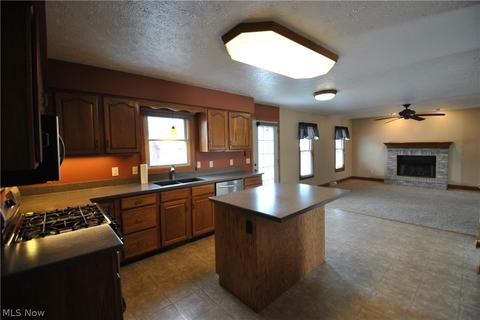 513 William St, Lagrange, OH 44050 photo 7