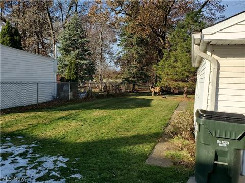 24861 Devoe Ave, Euclid, OH 44123 photo 23