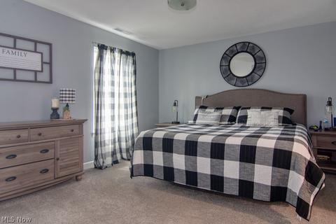 4737 Tallmadge Rd, Rootstown, OH 44272 photo 23